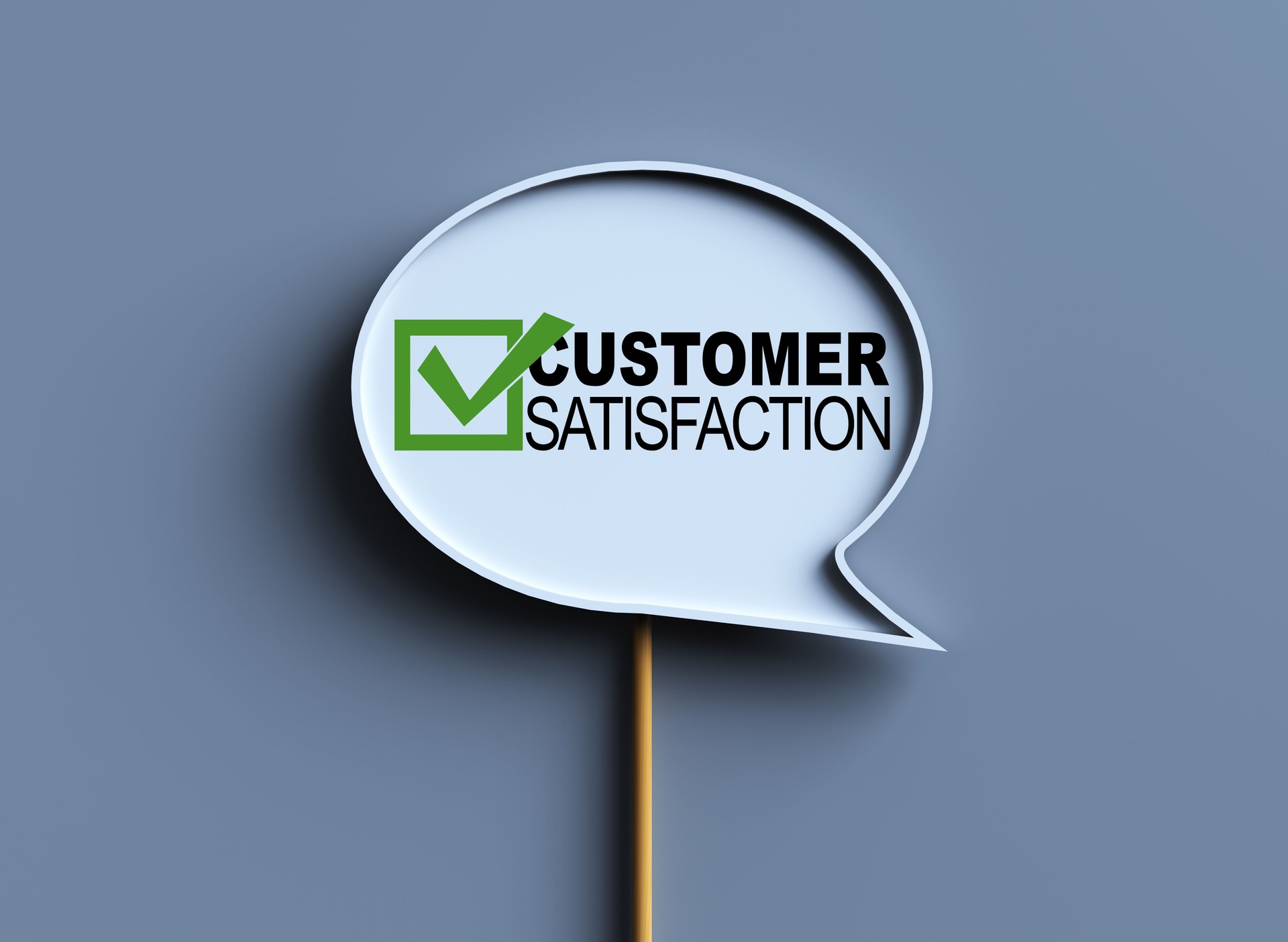 Customer Satisfaction